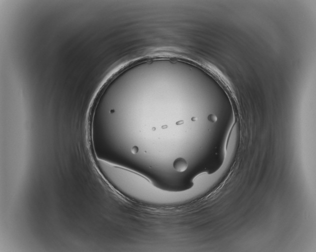 X0000116811384200912241212