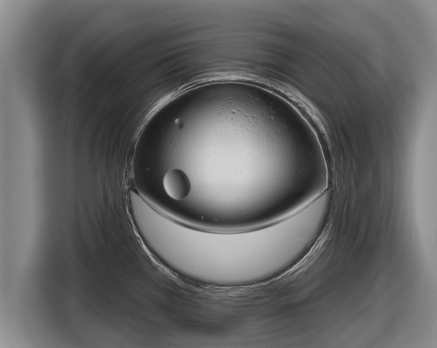 X0000116811385200912241212