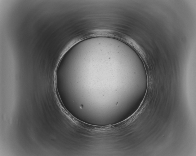 X0000116811386200912241212