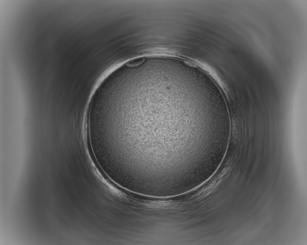 X0000116811387200912241212