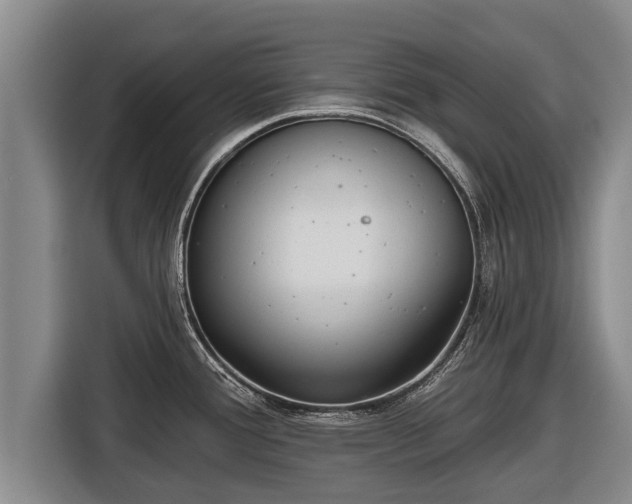 X0000116811388200912241212