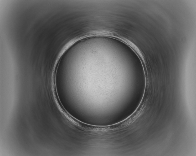 X0000116811389200912241212