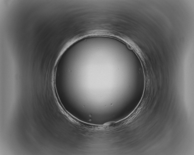 X0000116811390200912241212