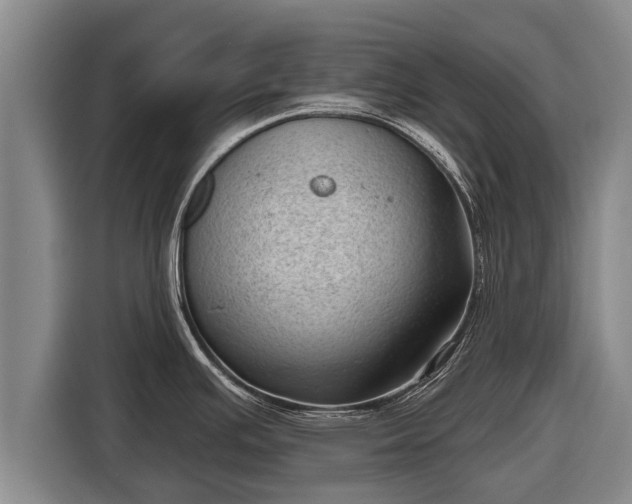 X0000116811391200912241212