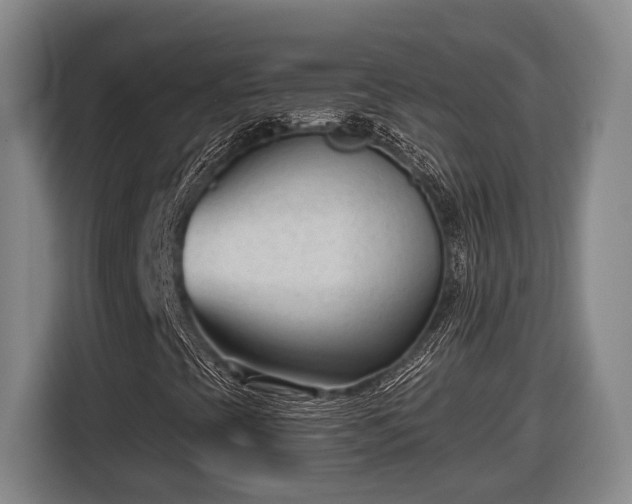 X0000116811393200912241212