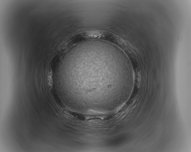 X0000116811394200912241212