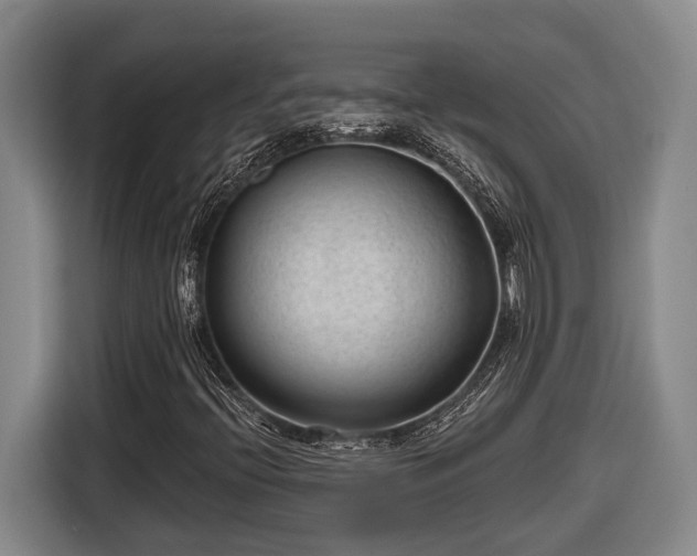 X0000116811396200912241212