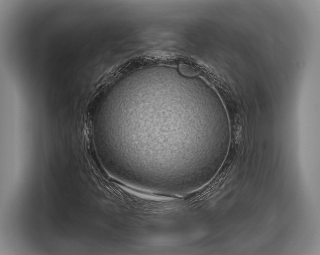 X0000116811397200912241212