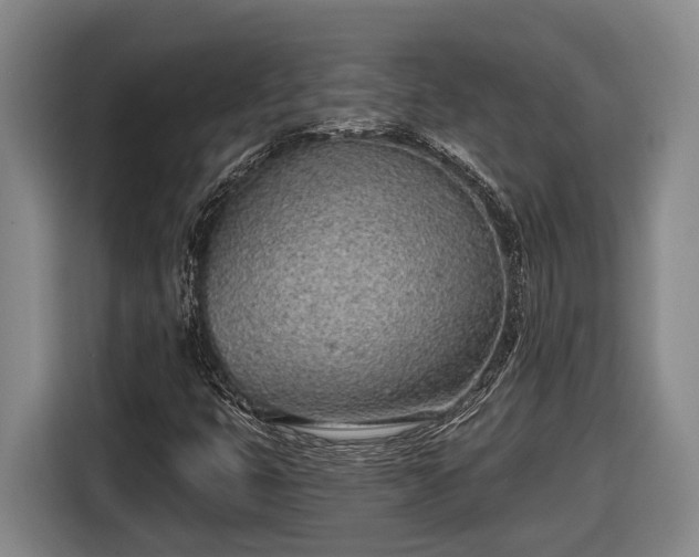 X0000116811399200912241212