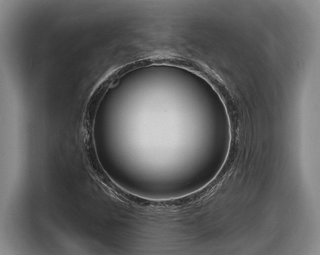 X0000116811400200912241212