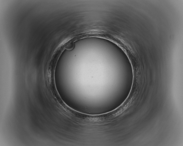 X0000116811402200912241212