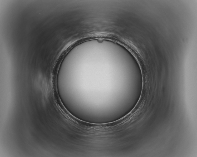 X0000116811404200912241212