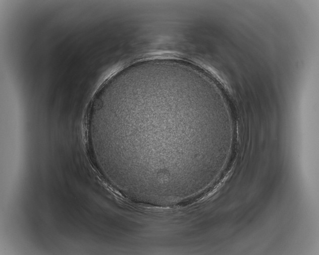 X0000116811405200912241212