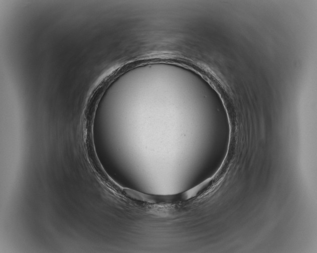 X0000116811406200912241212