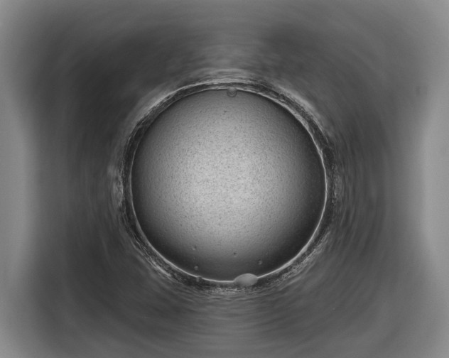 X0000116811407200912241212