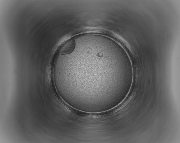 X0000116811411200912241212