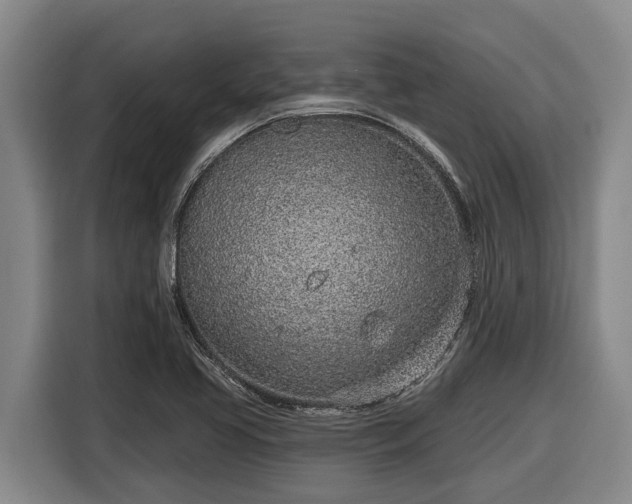 X0000116811413200912241212