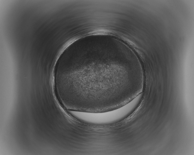 X0000116811418200912241212