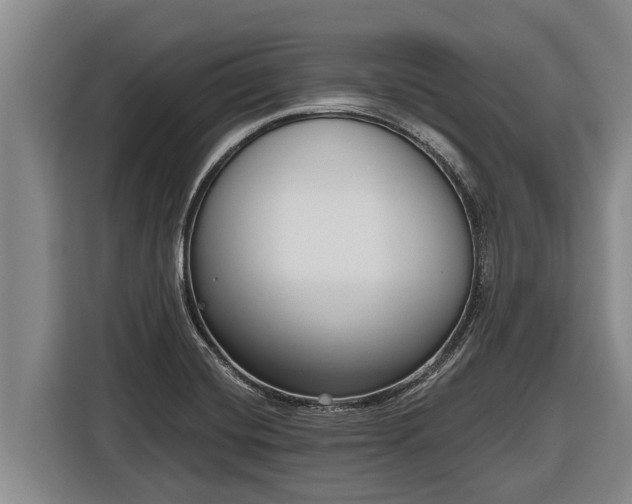 X0000116811420200912241212