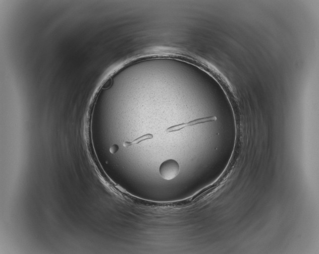 X0000116811421200912241212