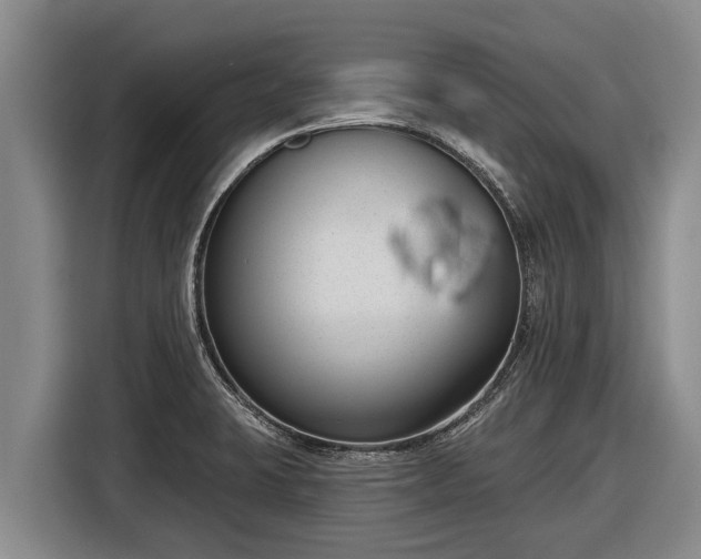 X0000116811423200912241212