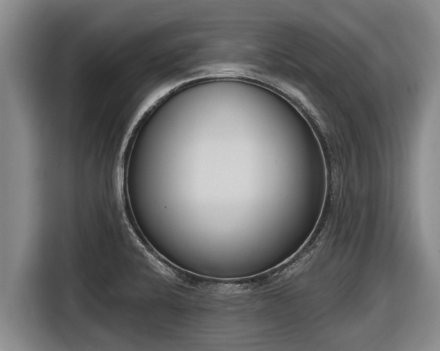 X0000116811424200912241212