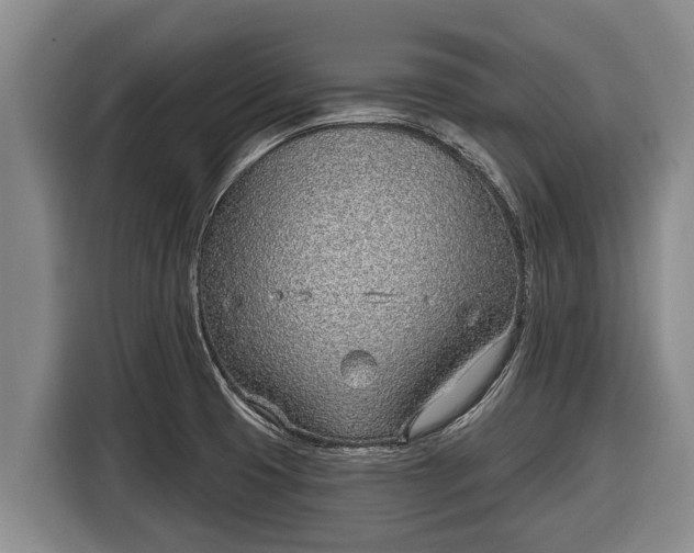 X0000116811425200912241212