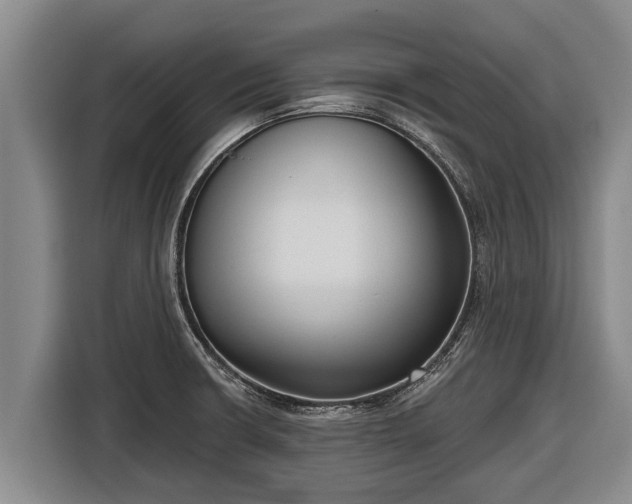 X0000116811426200912241212