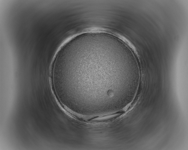 X0000116811429200912241212