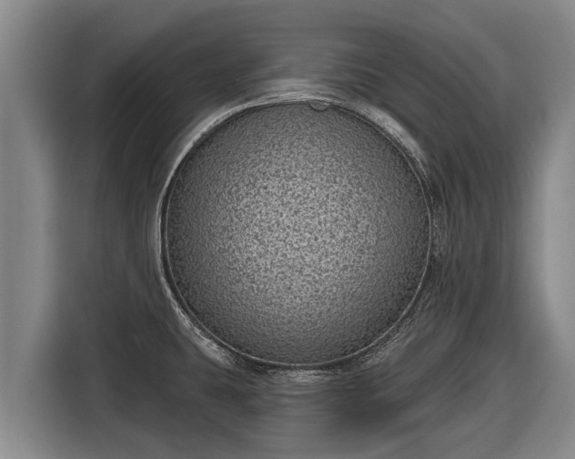 X0000116811431200912241212