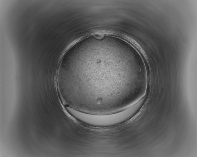 X0000116811433200912241212