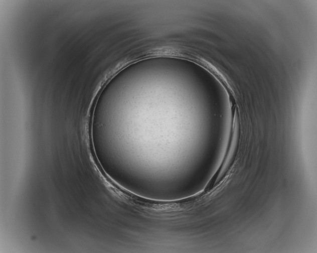 X0000116811434200912241212