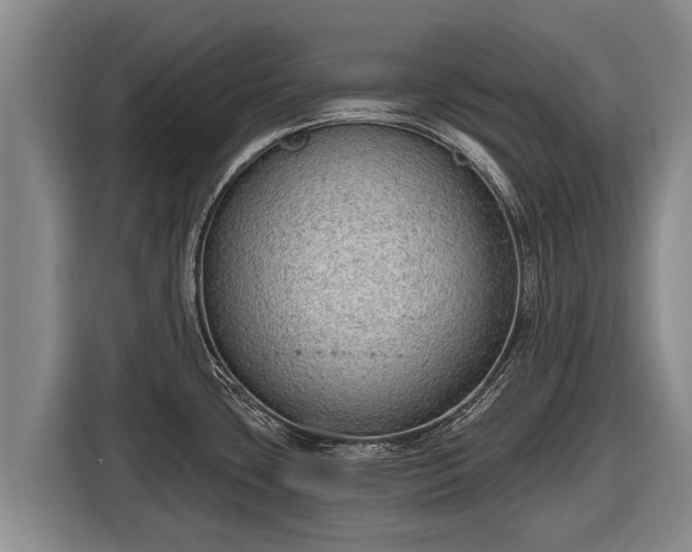 X0000116811435200912241212