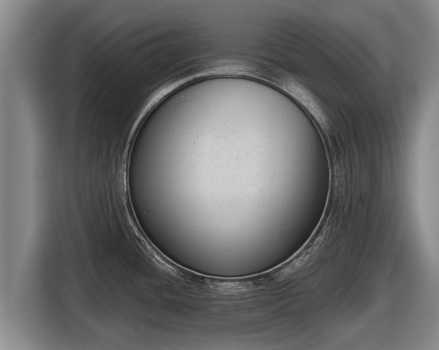 X0000116811436200912241212