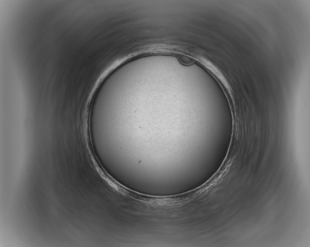 X0000116811437200912241212