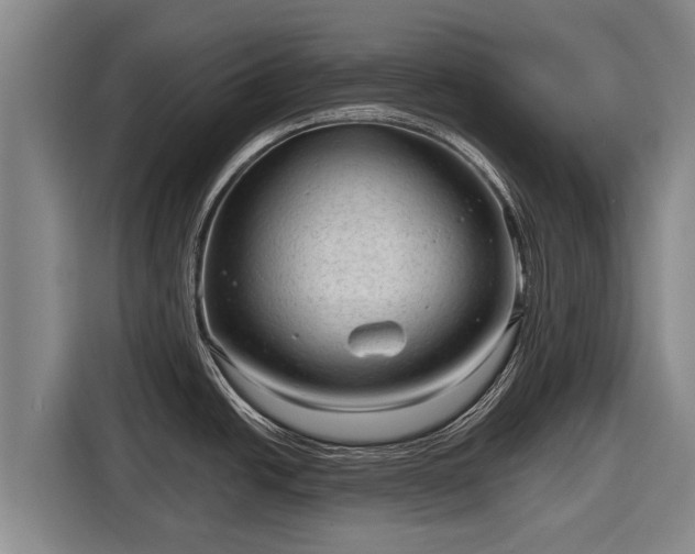 X0000116811438200912241212