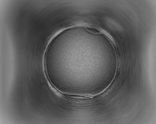 X0000116811439200912241212