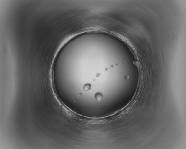 X0000116811440200912241212