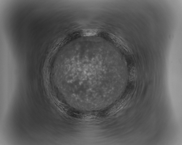 X0000116811441200912241212