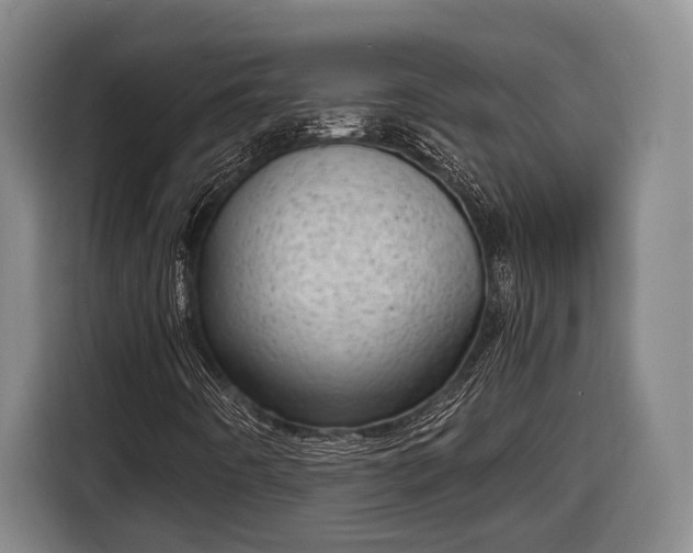 X0000116811442200912241212