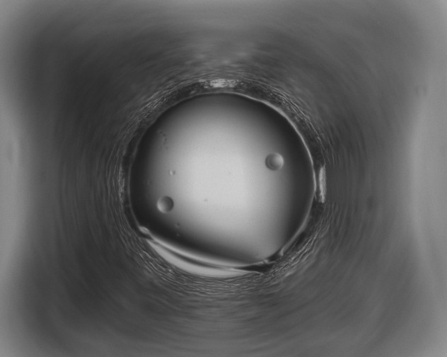 X0000116811443200912241212