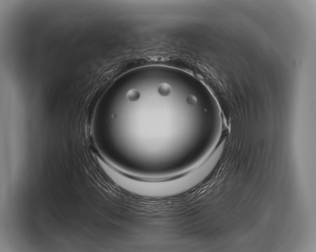 X0000116811444200912241211