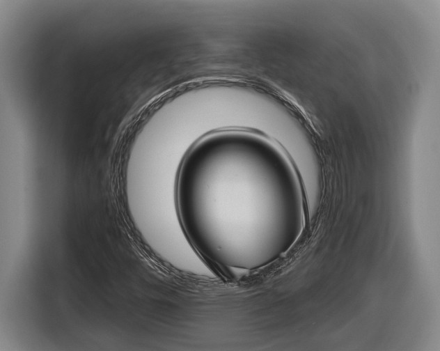 X0000116811448200912241211