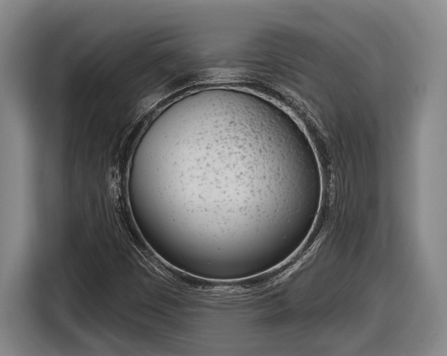 X0000116811449200912241211