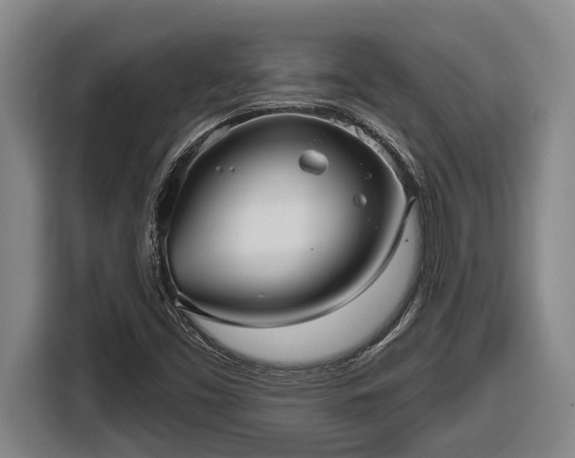 X0000116811453200912241211