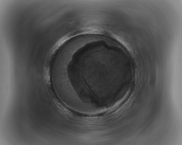 X0000116811455200912241211