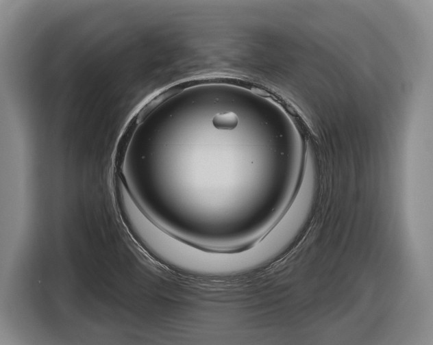 X0000116811460200912241211