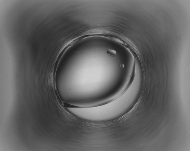 X0000116811465200912241211