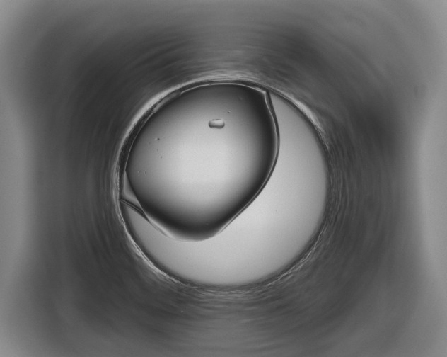 X0000116811468200912241211