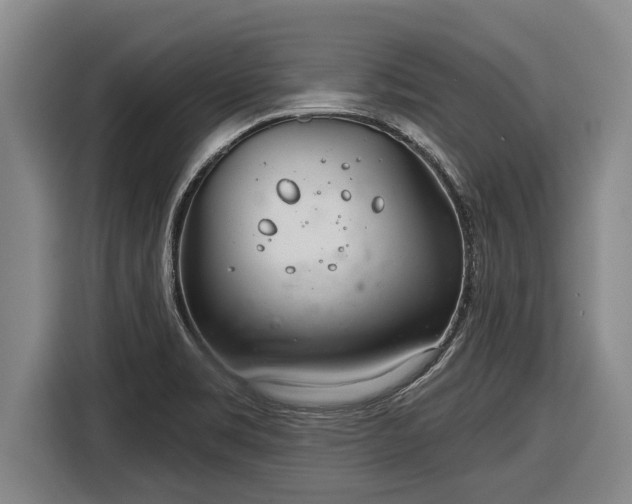 X0000116811469200912241211